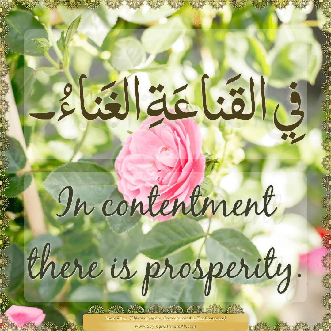 In contentment there is prosperity.